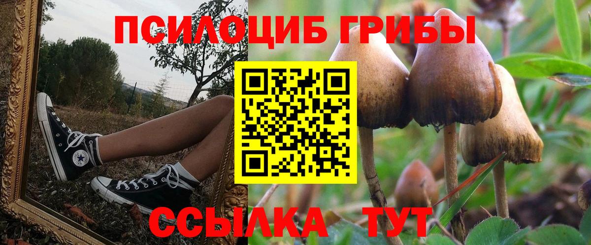 Канабис Аша