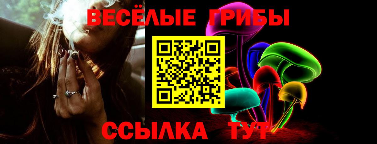 Аша  наркотики  Вход с VPN  Галлюциногенные грибы Psilocybe 